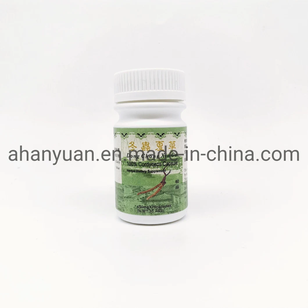 Cordyceps Capsule Enhance Immunity Prevention Kidney Failure OEM Service