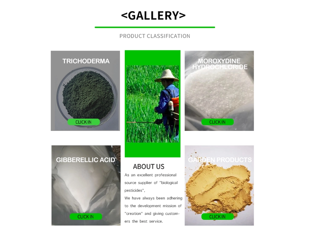 Kresoxim-Methyl 96% Tc Fungicide Pesticide & Bactericide