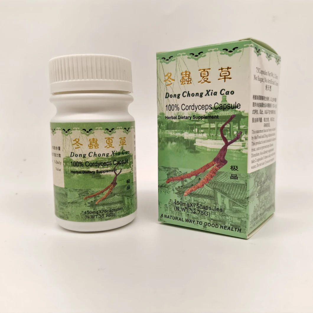 Cordyceps Capsule Enhance Immunity Prevention Kidney Failure OEM Service