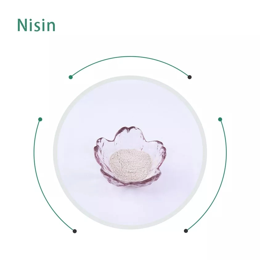 Wholesale Price Bulk Food Grade Natural Food Preservative Nisin Powder E234 Food Preservatives