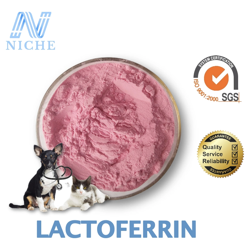 Best Price High Purity in Stock Food Grade Bovine for Capsules Lactoferrin Powder CAS: 112163-33-4