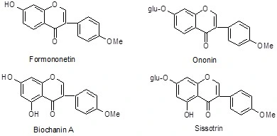 Red Clover Extract Trifolium Pretense L. with 40% Isoflavones