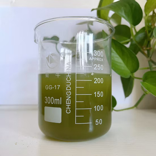 Reishi Mushroom Powder - Superalimento orgánico para la salud y la vitalidad en general