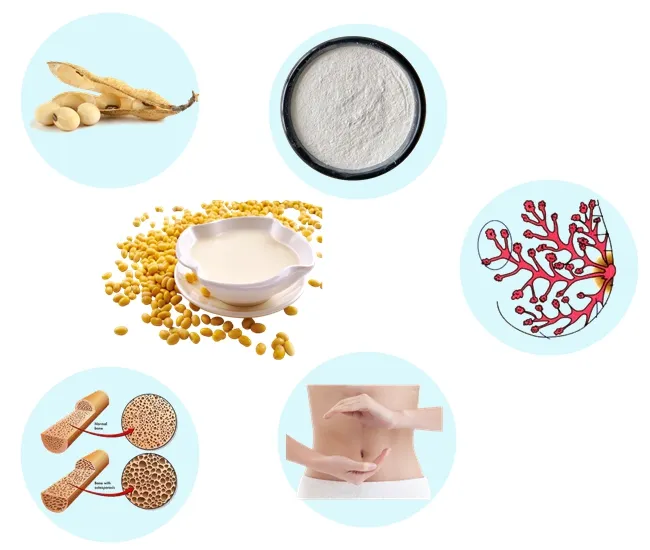 Productos para el cuidado de la salud Fitoestrógenos Extracto de soja Isoflavonas